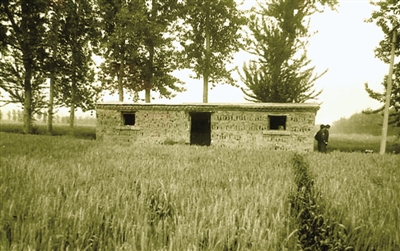 女教师被奸杀 沉尸机井 25年后 开棺验尸 奸杀女教师 凶手病亡